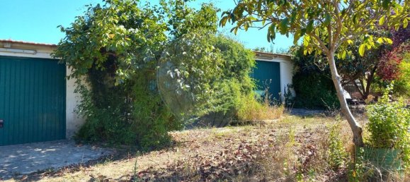 Terrain à Pombal, Portugal 7000m² No. 77274 5