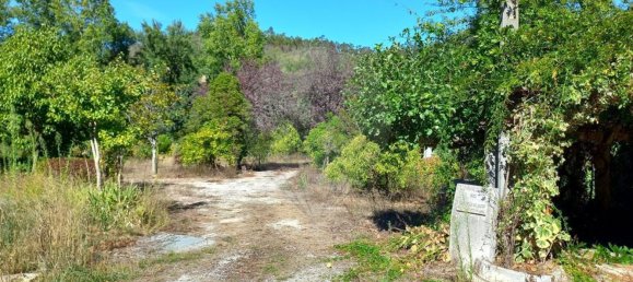 Terrain à Pombal, Portugal 7000m² No. 77274 12