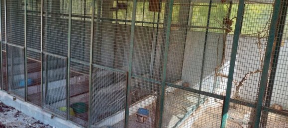 Terrain à Pombal, Portugal 7000m² No. 77274 2