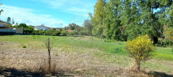 Terrain à Pombal, Portugal 7000m² No. 77274 8