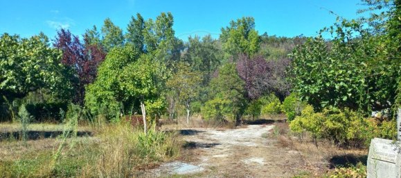 Terrain à Pombal, Portugal 7000m² No. 77274 3