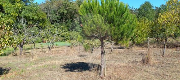 Terrain à Pombal, Portugal 7000m² No. 77274 7