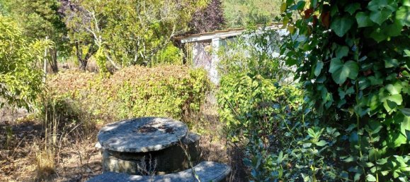 Terrain à Pombal, Portugal 7000m² No. 77274 11