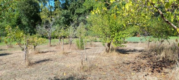 Terrain à Pombal, Portugal 7000m² No. 77274 4