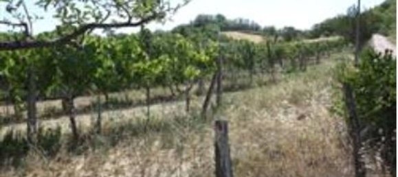 Terreno em Pesaro, Italy 87450 m² N.º 375967 6