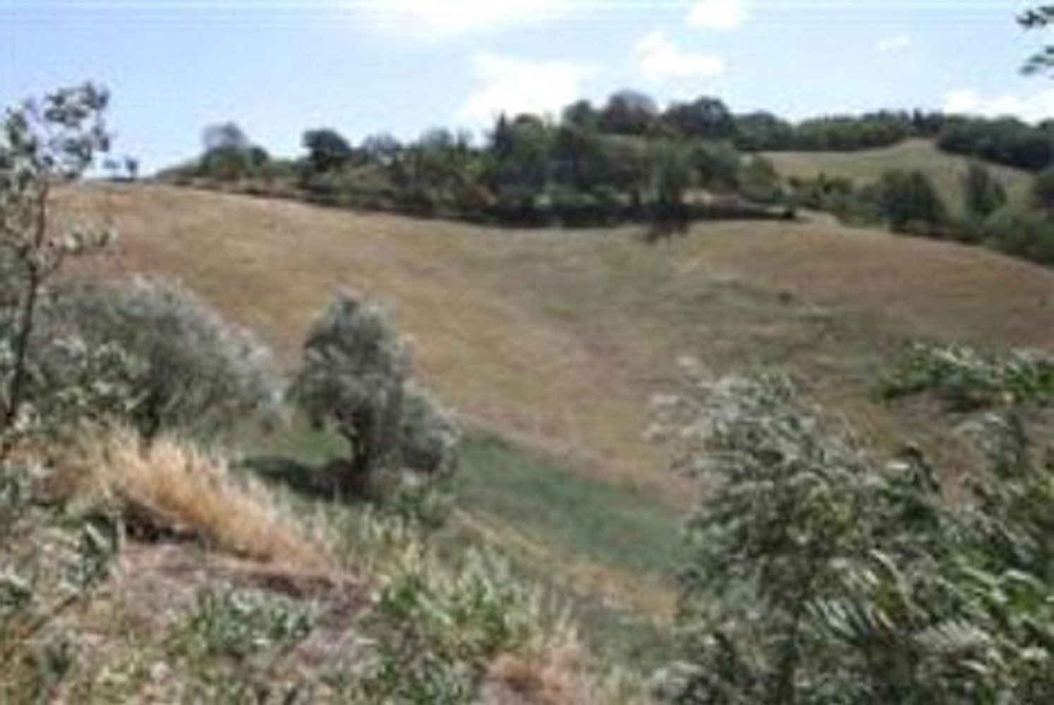 Terreno em Pesaro, Italy 87450 m² N.º 375967