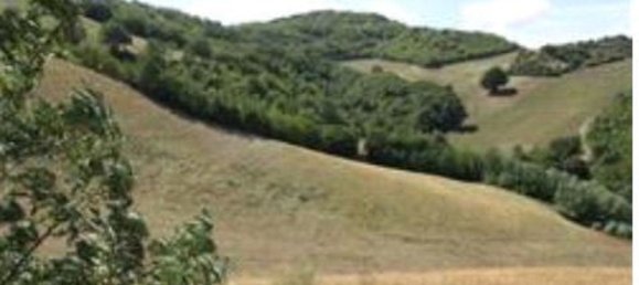 Terreno em Pesaro, Italy 87450 m² N.º 375967 3