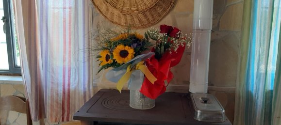 Gewerbliche Immobilie in Genzano di Roma, Italy 50m², Nr. 339202 9