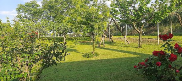 Gewerbliche Immobilie in Genzano di Roma, Italy 50m², Nr. 339202 11