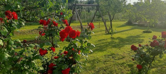 Gewerbliche Immobilie in Genzano di Roma, Italy 50m², Nr. 339202 14