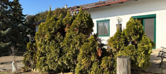 Casa de 5 divisões em Morbisch am See, Austria N.º 190641 25