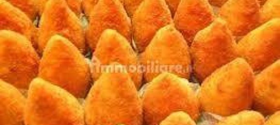 2-salle Propriété commerciale à Savona, Italy No. 189161 32