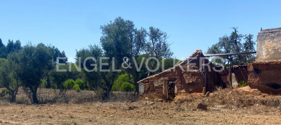  Land in Grandola, Portugal No. 101347 13