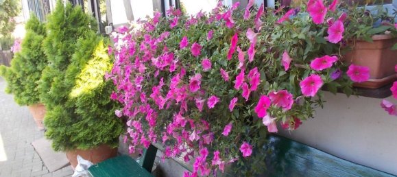 Casa T2 em Wetteraukreis, Germany N.º 318527 12