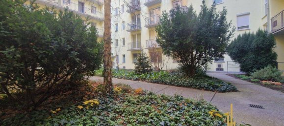 2 rooms Apartment in Wieden, Austria No. 23861 13