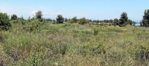 1898m² Hotel in Chalkidiki, Greece No. 7863 5