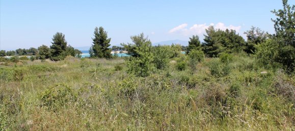 1898m² Hotel in Chalkidiki, Greece No. 7863 6