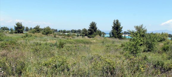 1898m² Hotel in Chalkidiki, Greece No. 7863 4