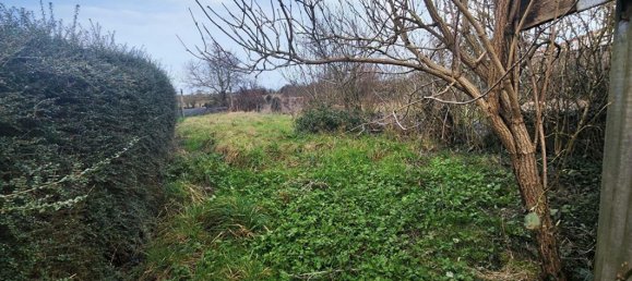 4 bedrooms House in Maine-et-Loire, France No. 357913 16