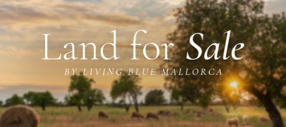 Grundstück in Santa Maria Del Cami, Spain 24556m², Nr. 181892 2