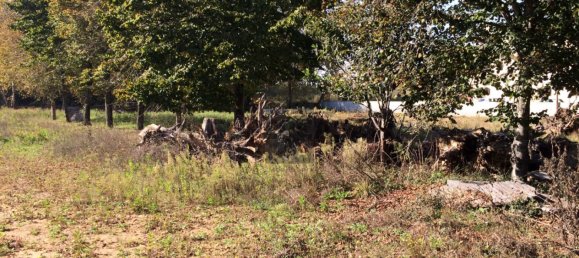  قطعة أرض في Oliveira de Azemeis, Portugal رقم 165215 4