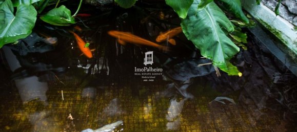 4 غرف نوم منزل في Funchal, Portugal رقم 80492 6