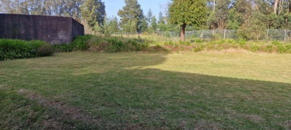 6 bedrooms House in Canico, Portugal No. 96802 7