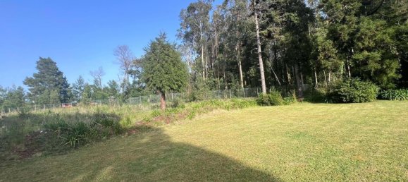 6 bedrooms House in Canico, Portugal No. 96802 10