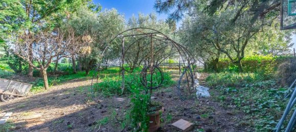 12 rooms House in Corinaldo, Italy No. 151780 7