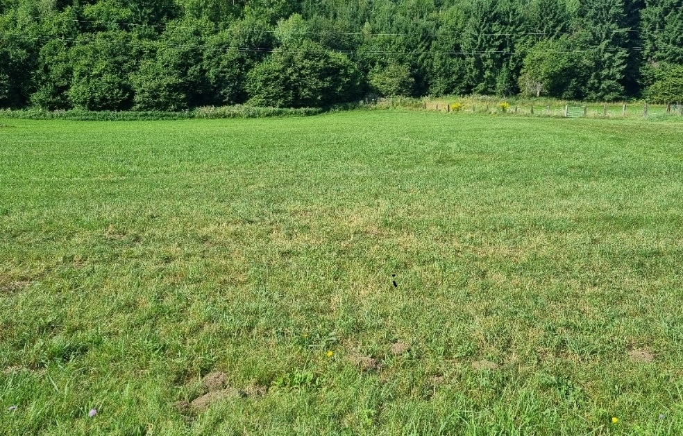 Grundstück in Wolkersdorf im Weinviertel, Austria, Nr. 229538