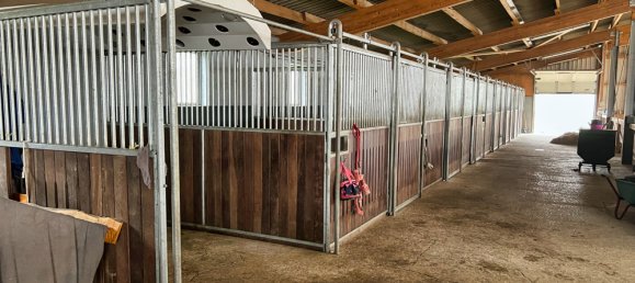 6 rooms House in Emsland, Germany No. 162730 11