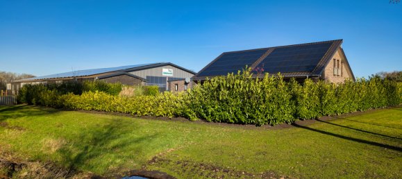 6 rooms House in Emsland, Germany No. 162730 6