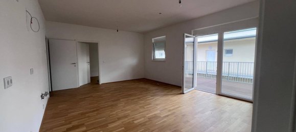 3 chambres Appartement à Kalsdorf bei Graz, Austria No. 210553 5