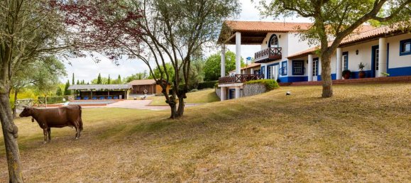 15 bedrooms Castles in Santiago do Cacem, Portugal No. 142409 39