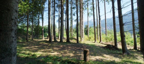 5 rooms House in Irschen, Austria No. 36093 3