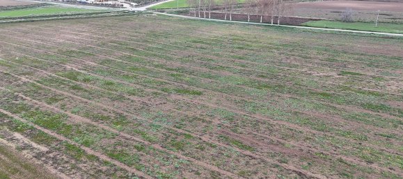 Terreno en Colmenar de Oreja, Spain 50000 m² No. 121655 4