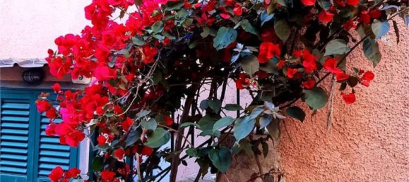 2 rooms Apartment in Rio, Italy No. 148928 5