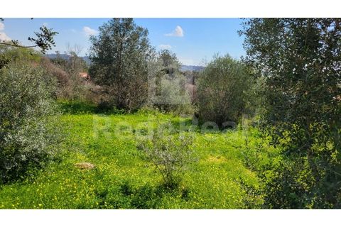  Land in Silves, Portugal No. 306231