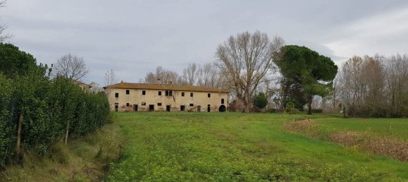 1104m² Building in Calcinaia, Italy No. 81086 3