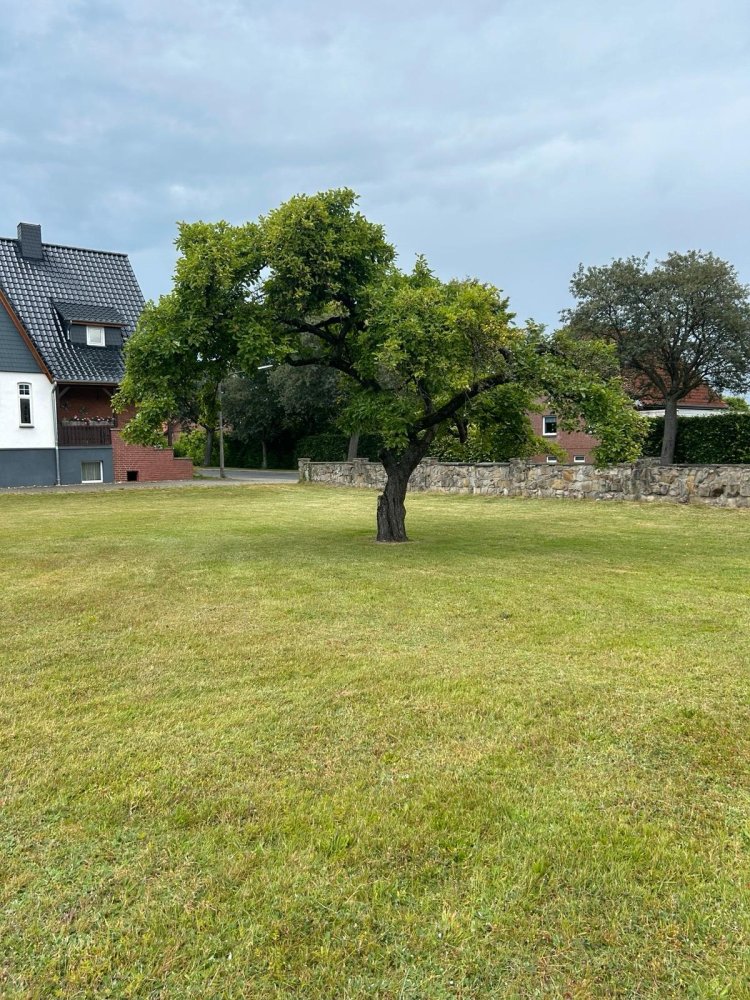  Land in Gifhorn, Germany No. 236354