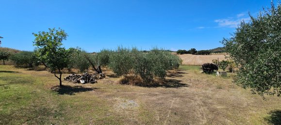 6 bedrooms Villa in Campagnatico, Italy No. 314947 42