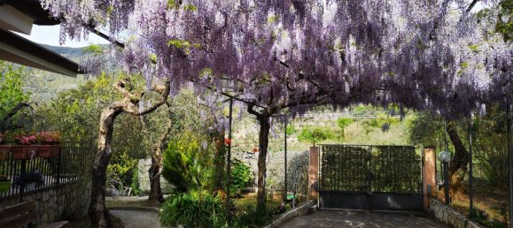 5-Zimmer Villa in Sonnino, Italy, Nr. 256990 20