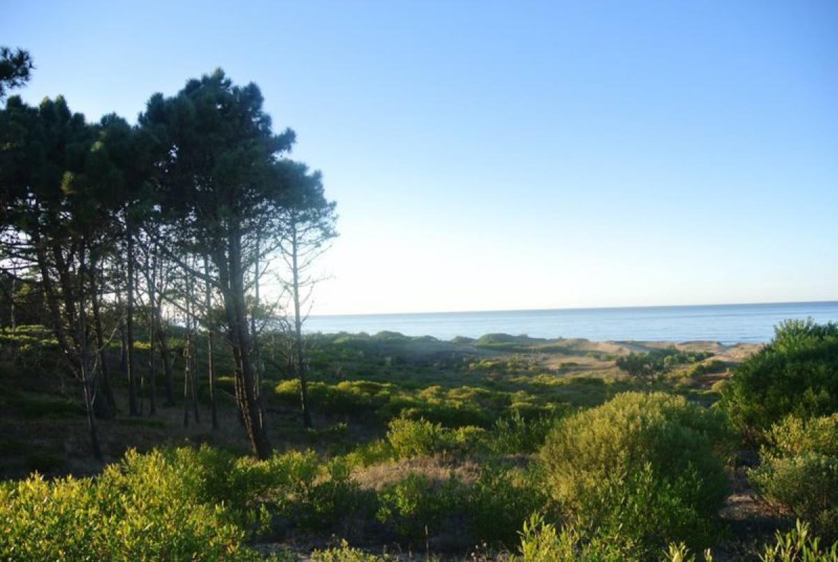  Land in Maldonado, Uruguay No. 14500