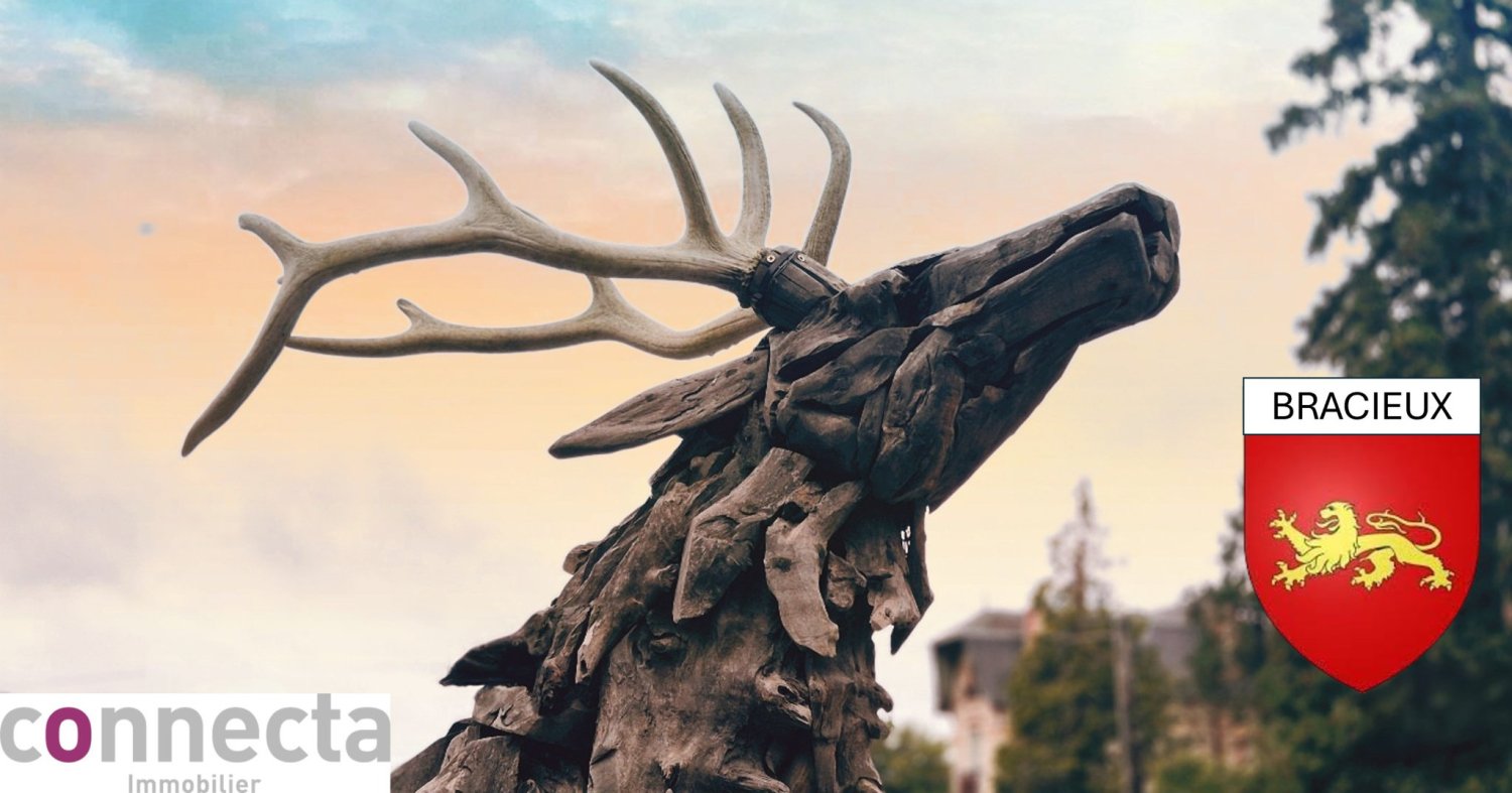 3 chambres Maison à Bracieux, France No. 233620