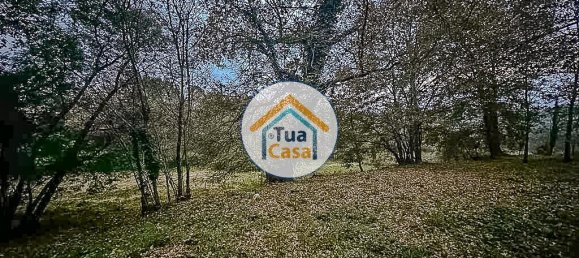 10350m² Land in Sao Pedro do Sul, Portugal No. 58289 13