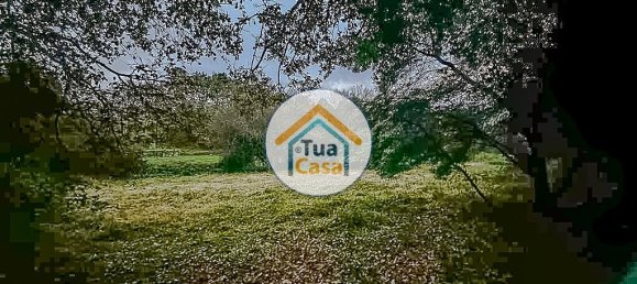 10350m² Land in Sao Pedro do Sul, Portugal No. 58289 11