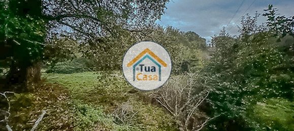 10350m² Land in Sao Pedro do Sul, Portugal No. 58289 16