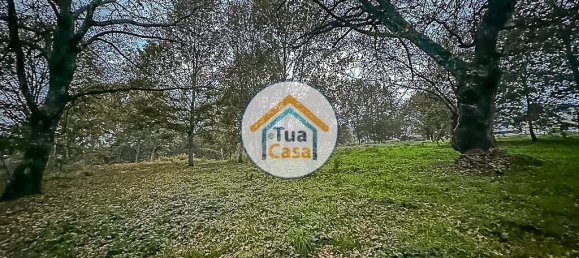 10350m² Land in Sao Pedro do Sul, Portugal No. 58289 10