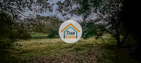 10350m² Land in Sao Pedro do Sul, Portugal No. 58289 14