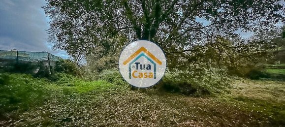 10350m² Land in Sao Pedro do Sul, Portugal No. 58289 6